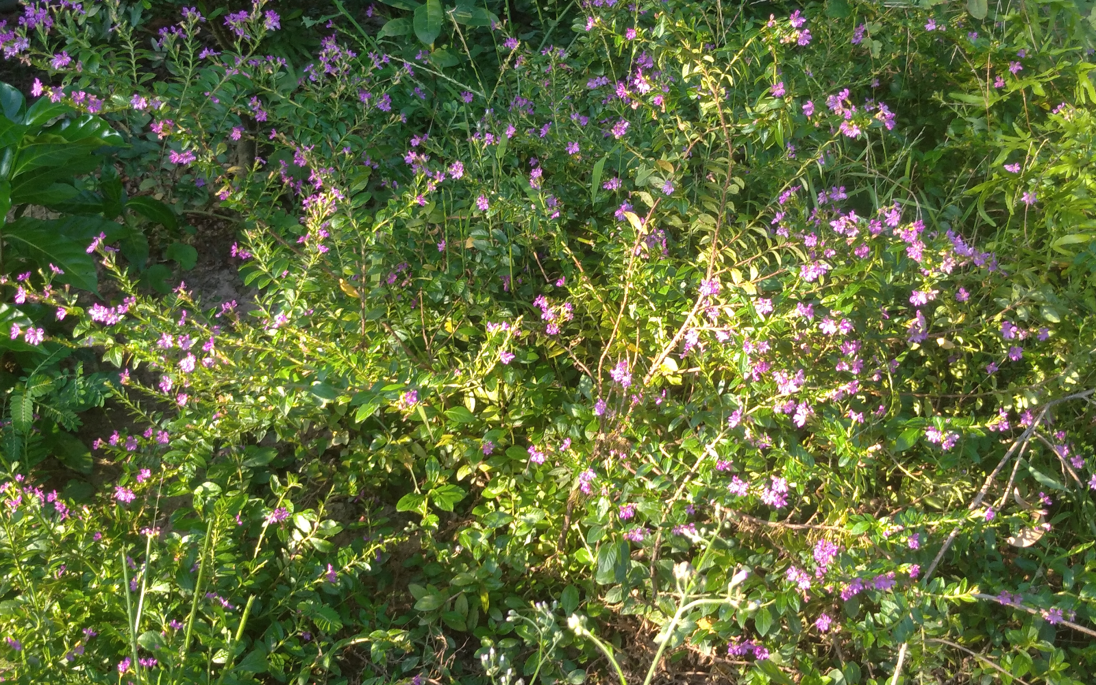Ảnh bìa